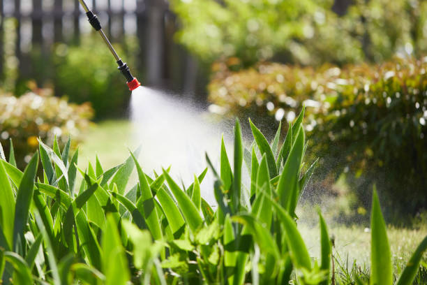 24/7 Emergency Wasp Removal experts in Crystal Lake, FL