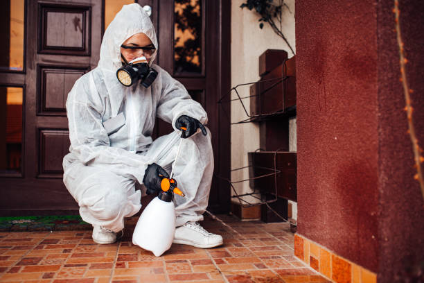 Reliable Wasp Removal contractor in Crystal Lake, FL by Show Me Pest Control