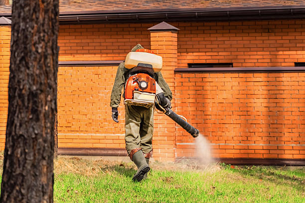 Top rated local Wasp Removal specialists in Crystal Lake, FL